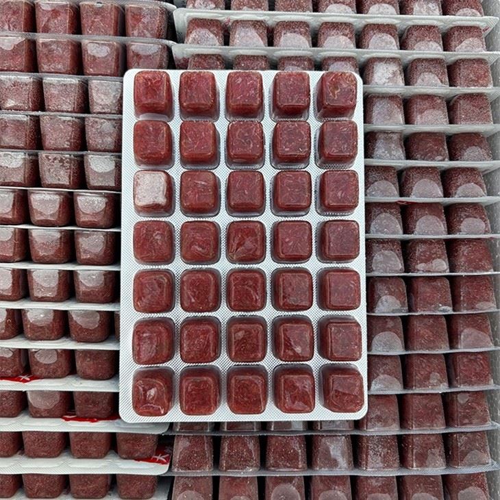Frozen Bloodworm Fish Food Frozen Bloodworm Fish Food