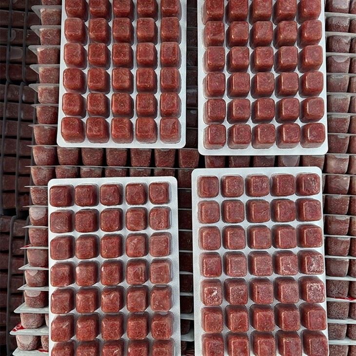 Frozen Bloodworm Fish Food Frozen Bloodworm Fish Food