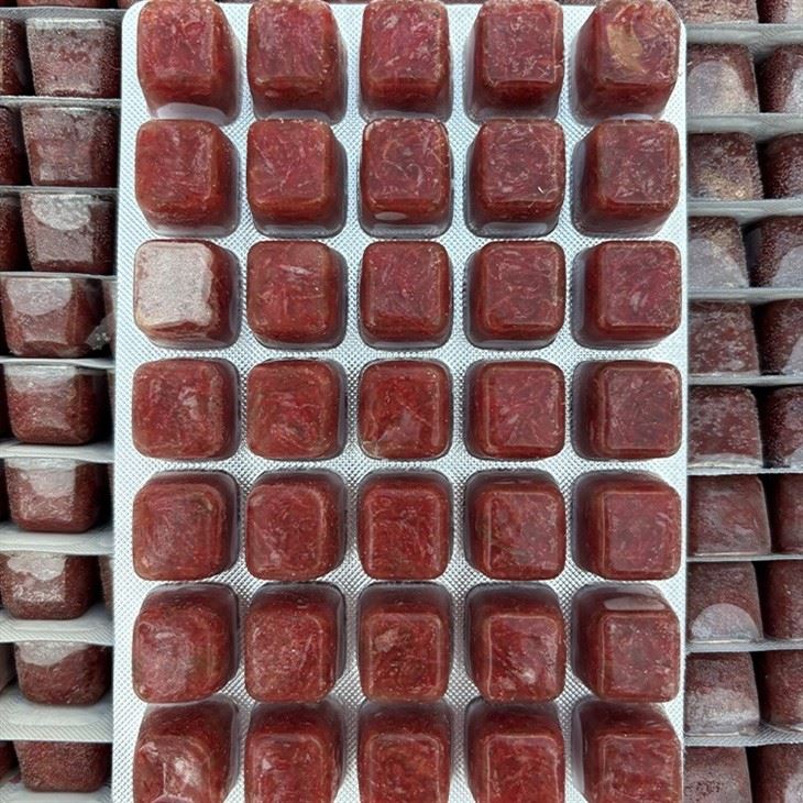 Frozen Bloodworm Fish Food Frozen Bloodworm Fish Food