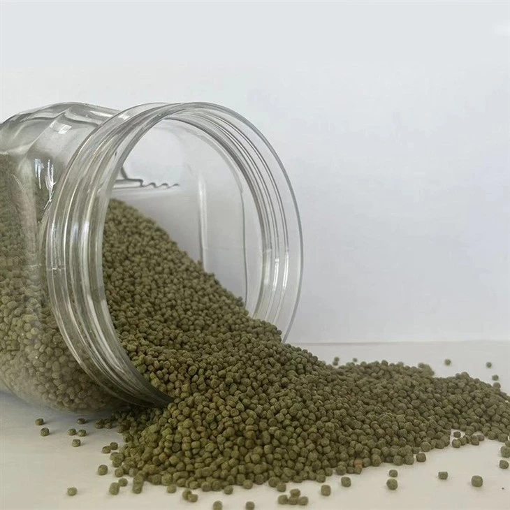 White Rumped Shama Bird Foods
