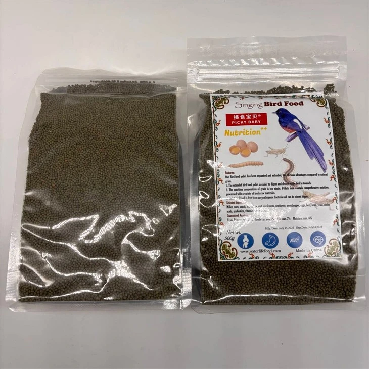 White Rumped Shama Bird Foods best